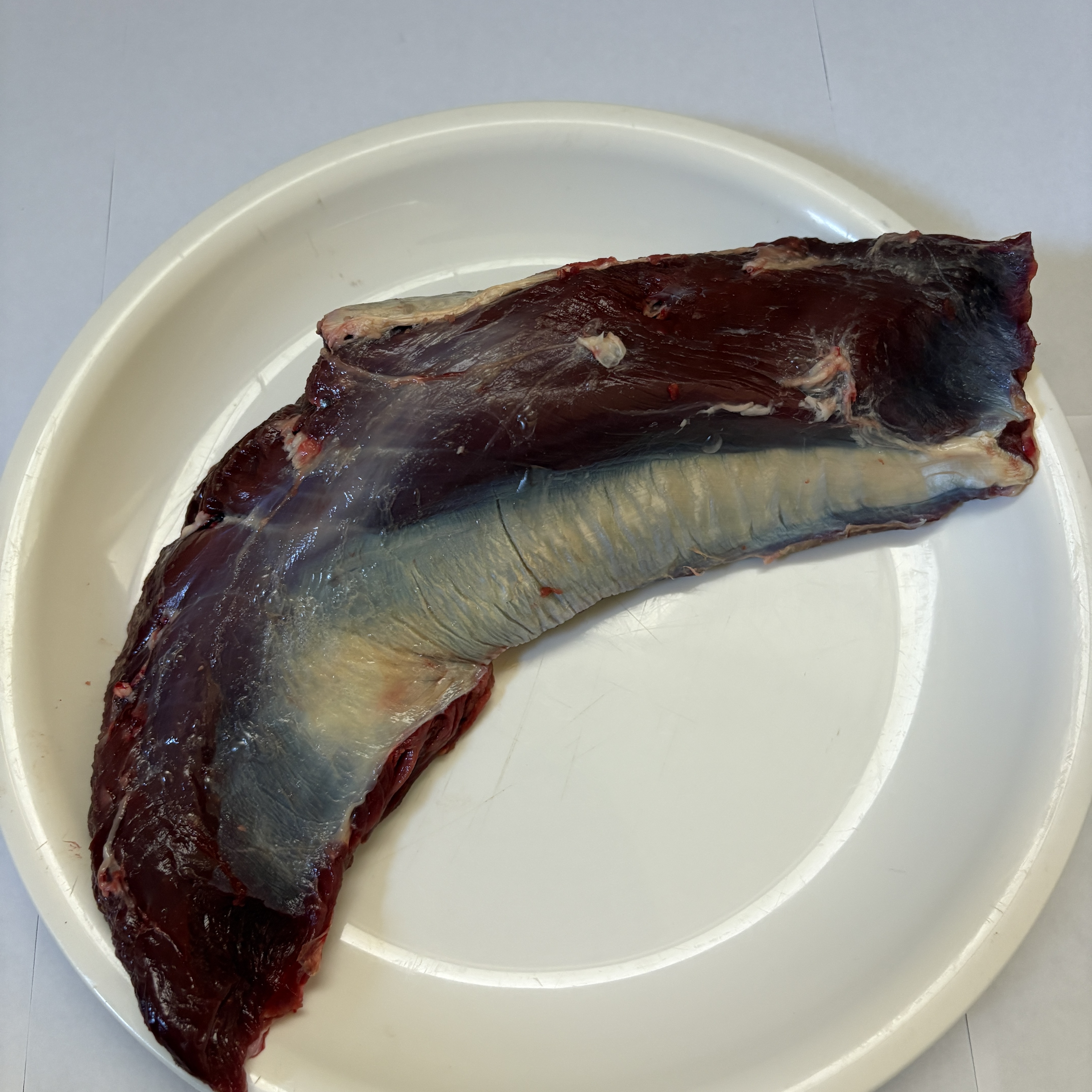 京都産_鹿外モモ肉